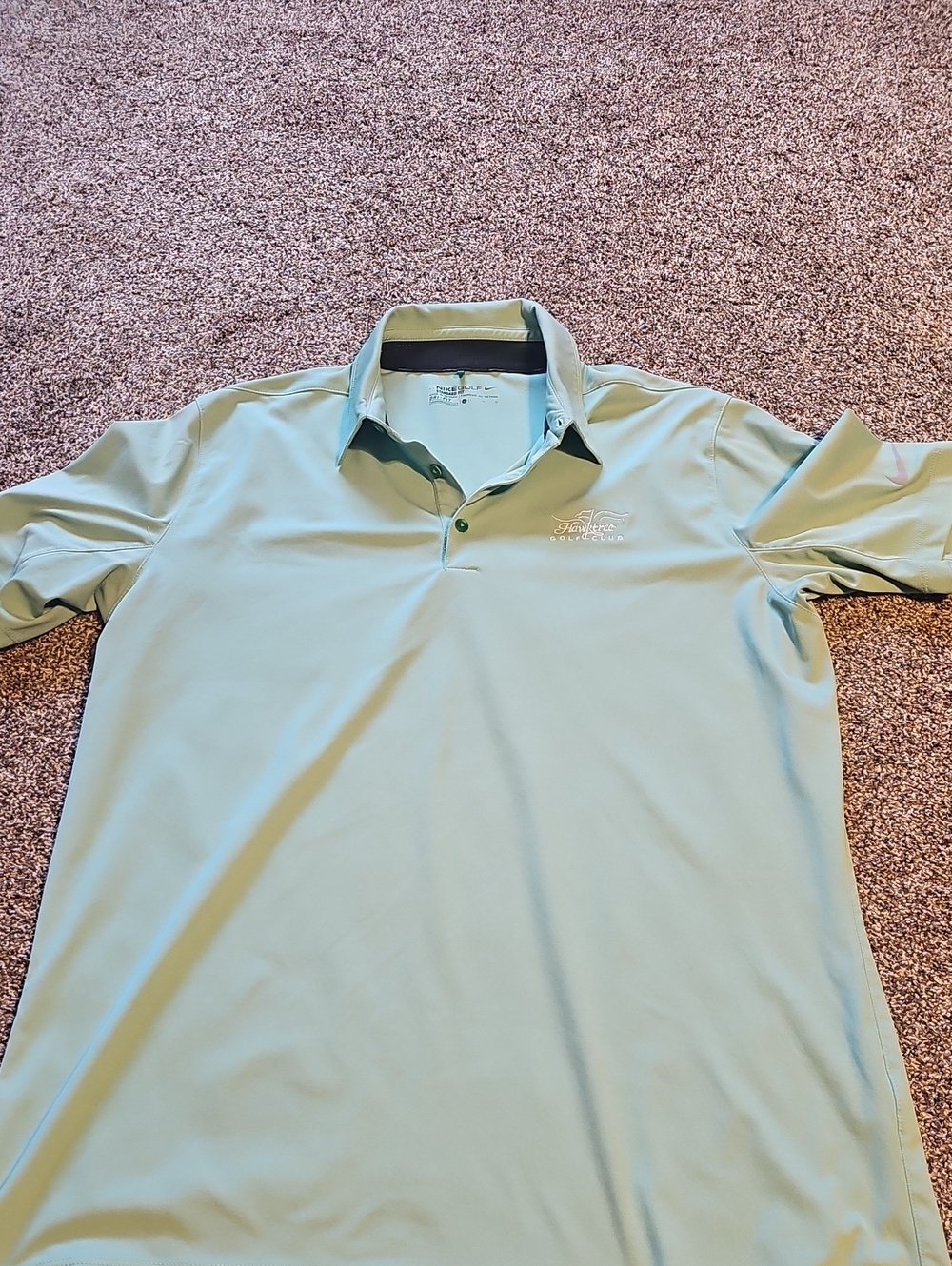 Nike Men’s Light Mint Green Polo Shirt